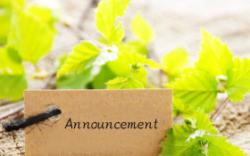 劳动节假期报名中心暂停开放