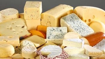 cheese 19