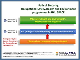 OSH Programmes - Progression Path