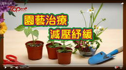 Horticultural Therapy (Video)