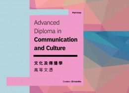 Advanced Diploma in Communication and Culture