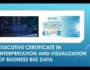 Executive Certificate in Interpretation and Visualization of Business Big Data