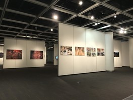 Graduation Exhibition