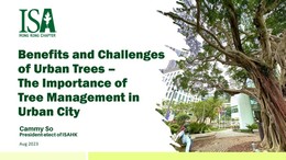 Benefits and Challenges of Urban Trees – The Importance of Tree Management in Urban City