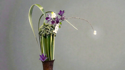 为何修读欧洲植物与花艺设计？