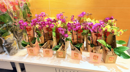  European Floral Art Demonstration