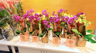 European Floral Art Demonstration