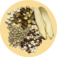 健脾袪濕養腎湯