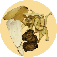 袪頭風止頭痛湯