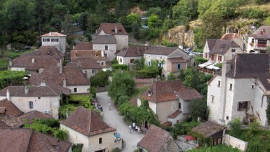 Develop and evaluate proposals of tree protection, preservation, transplantation and removal
